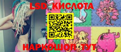 стафф Заводоуковск
