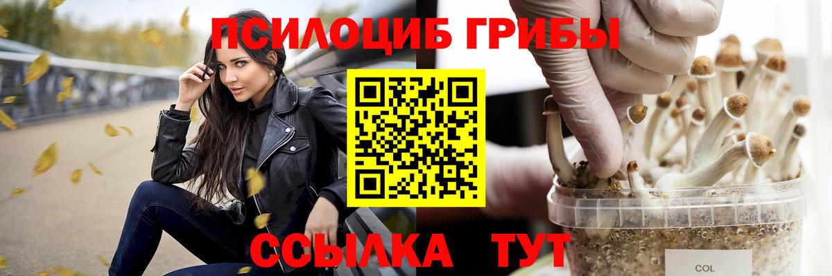 Псилоцибиновые грибы ЛСД  Псилоцибиновые грибы GOLDEN TEACHER  Вход с VPN  Кимры 